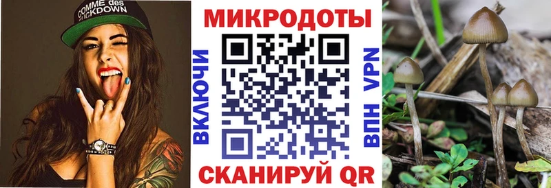 Галлюциногенные грибы Psilocybine cubensis  Покров 